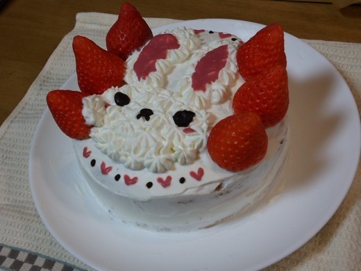 dish-425.jpg