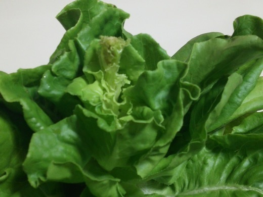 lettuce-1.jpg