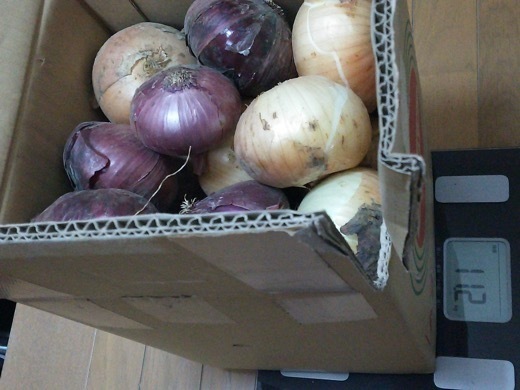 onion-15.jpg