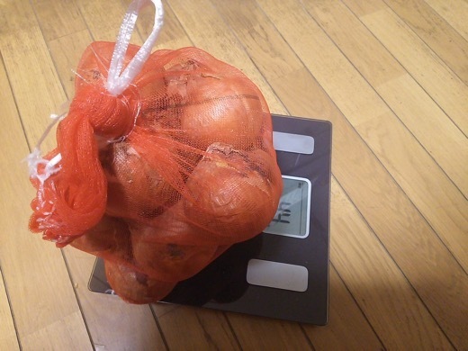 onion-16.jpg