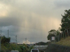 rain-1.jpg