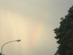rainbow-1.jpg