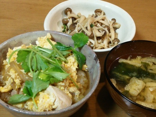 dish-440.jpg
