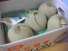 melon-1.jpg