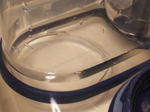 pitcher-2.jpg