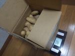 potato-17.jpg
