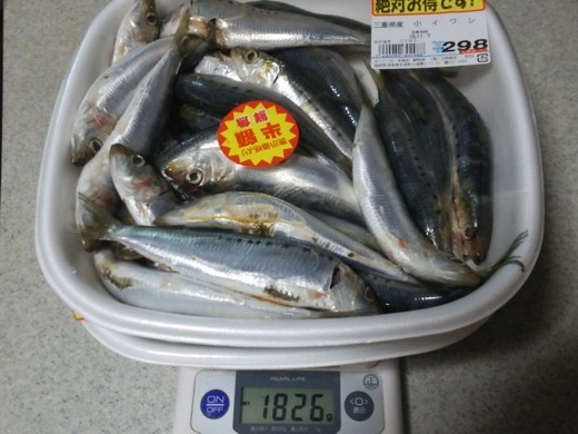 sardine-2.jpg