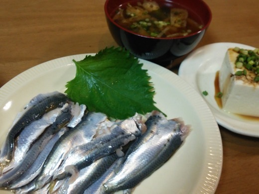 sardine-3.jpg