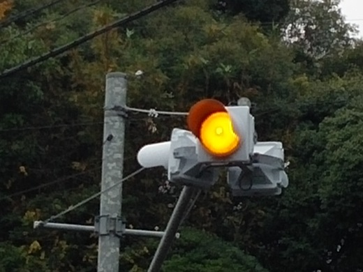 signal-1.jpg