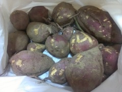 sweetpotato-2.jpg
