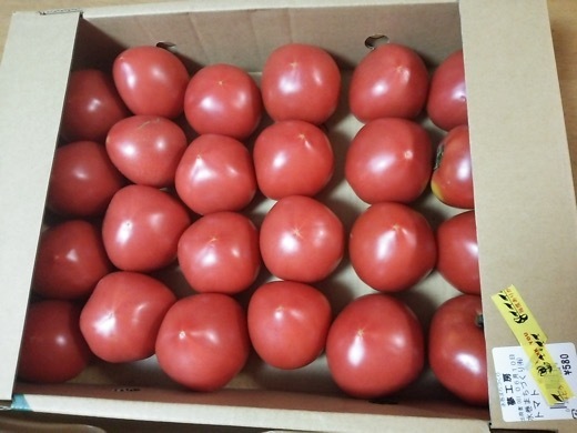 tomato-2.jpg
