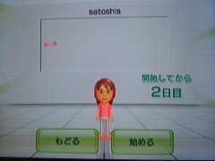 wiifit.jpg