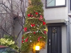 xmas-deco-7.jpg